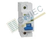 GIE158-100 Miniature Circuit Breaker